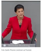 NGO给定义了60种性